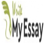 Irish Best Essay Writing Service - Write My Essay