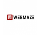 WEB MAZE